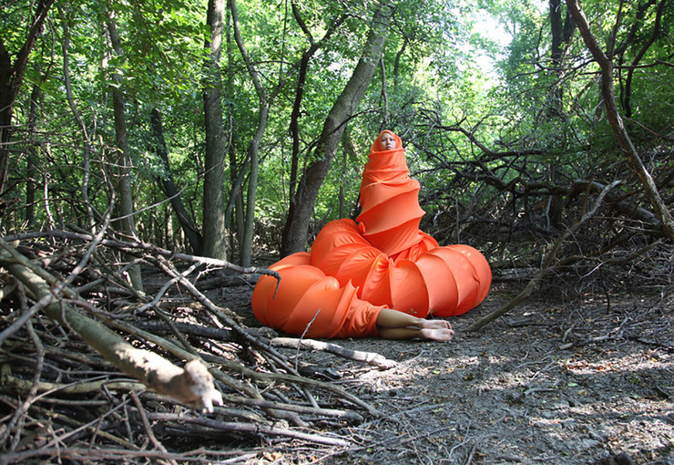 Anida Yoeu Ali (Cambogia), The Buddhist Bug, Into the Night, 2015