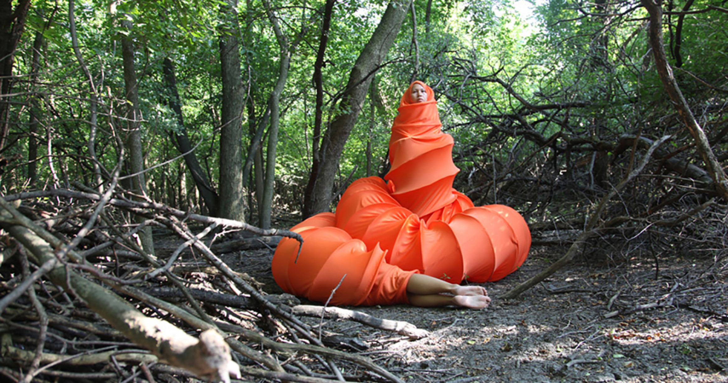 Anida Yoeu Ali (Cambogia), The Buddhist Bug, Into the Night, 2015